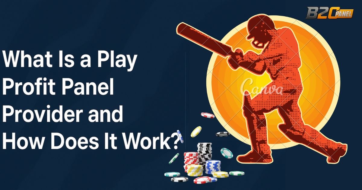 What Is a Play Profit Panel Provider and How Does It Work?